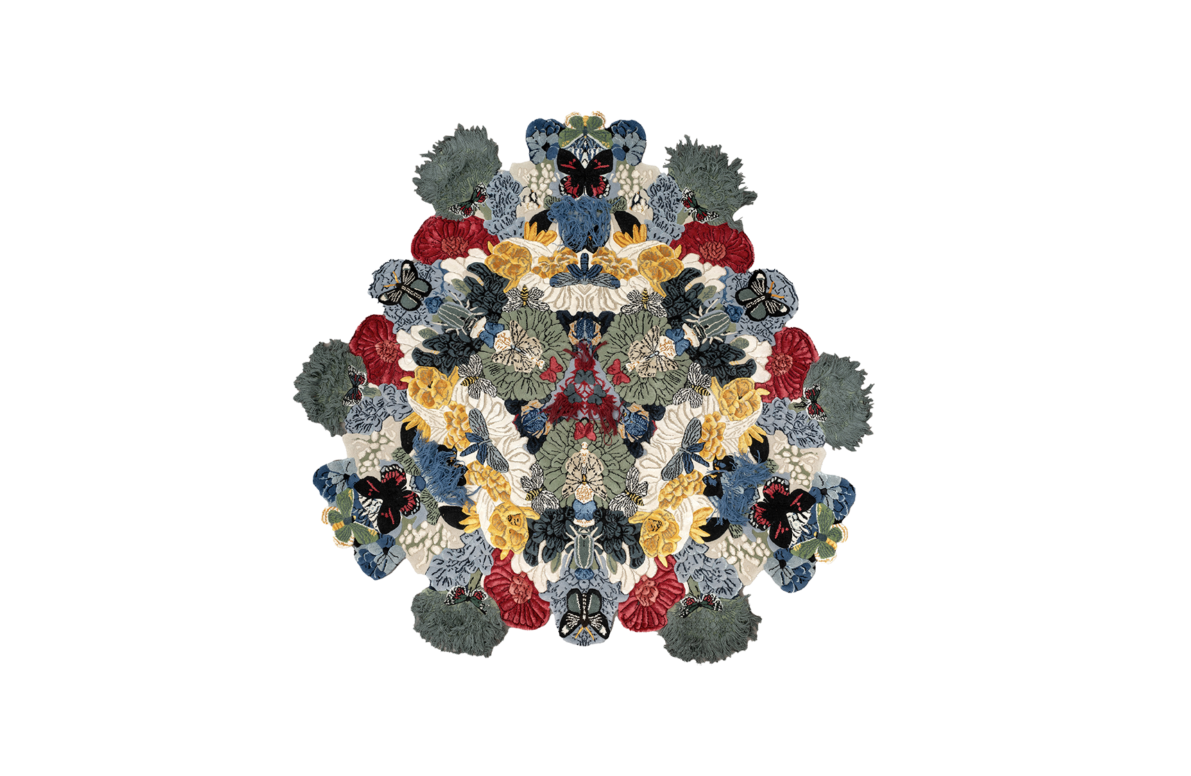 Illulian-CV-RugßInsectopia